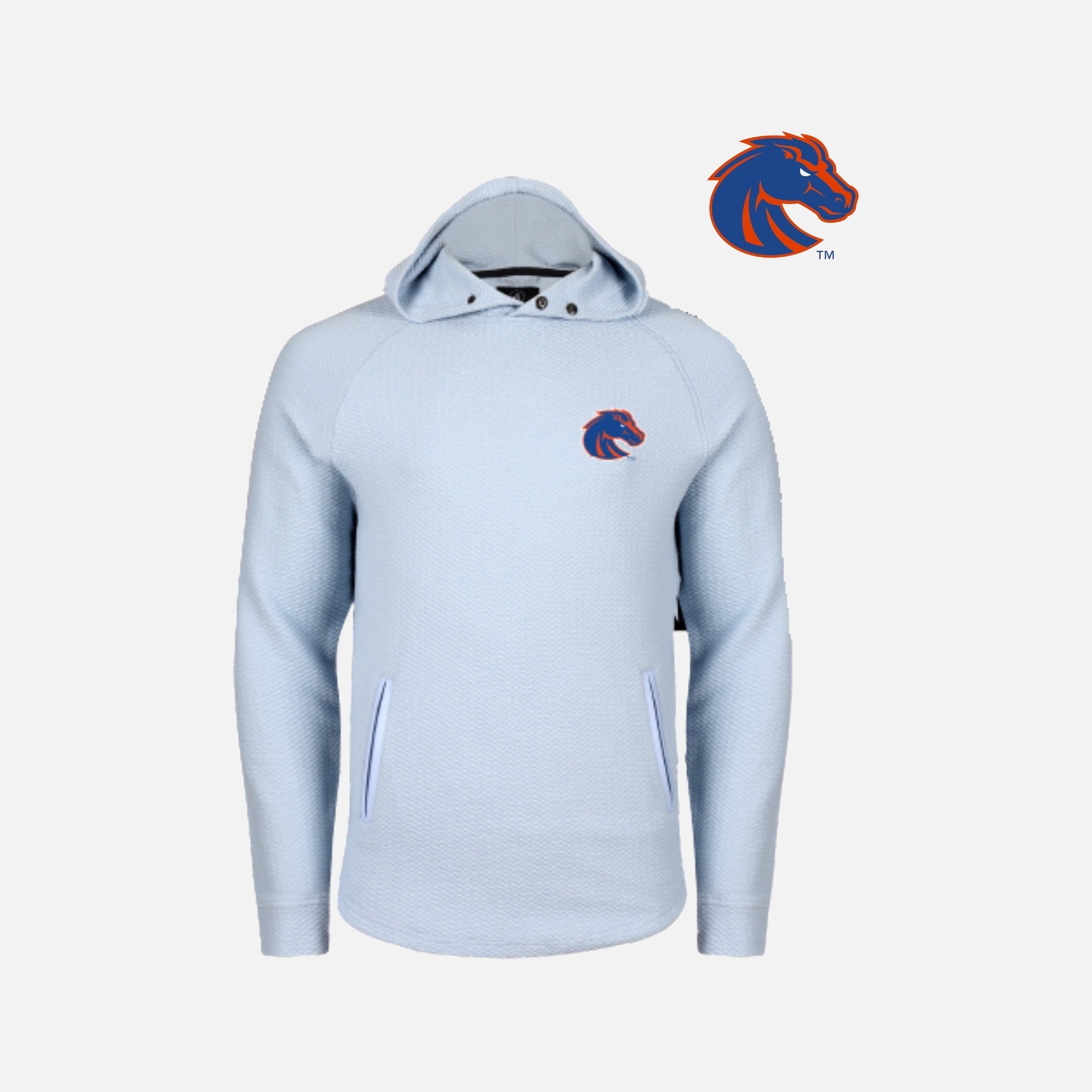 70sChampion スウェット SOUTHWEST MISSOURI Boise State Camden Hoodie – Swannies Golf