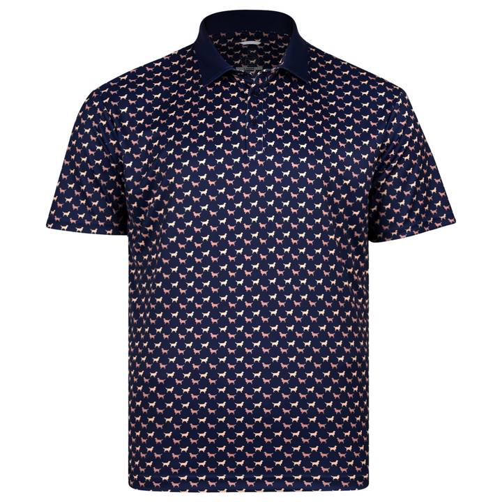 Dublin Polo